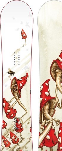 Apo Amanite LTD 2008-2009