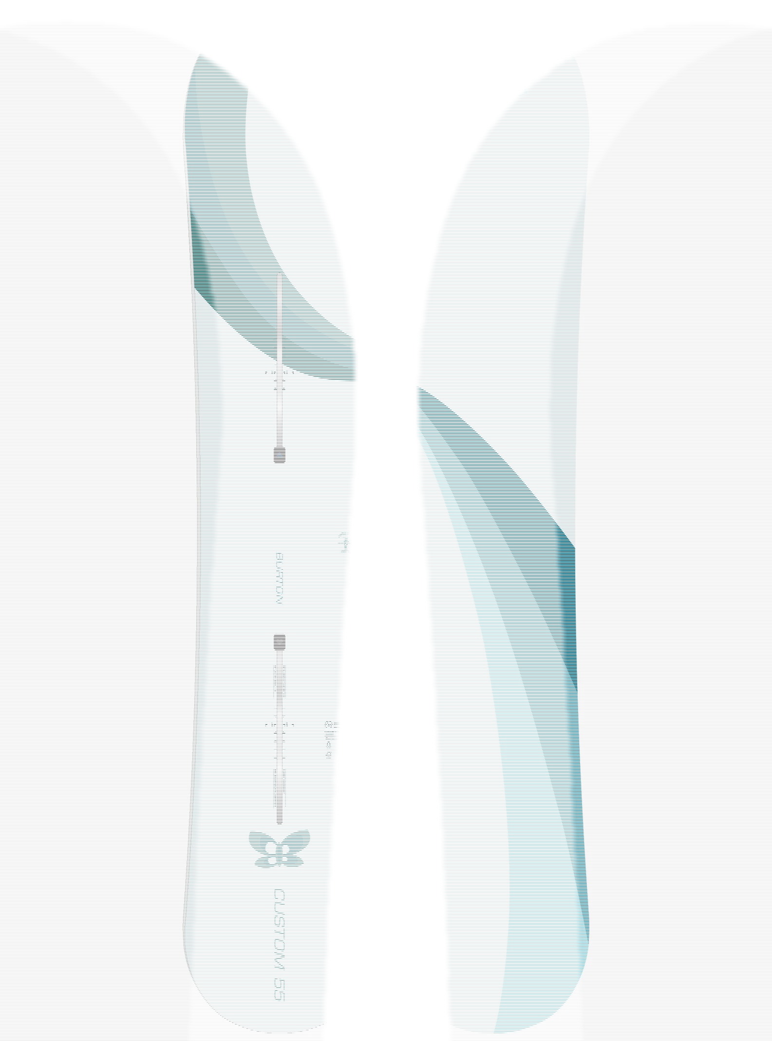 Burton 30th Custom Camber