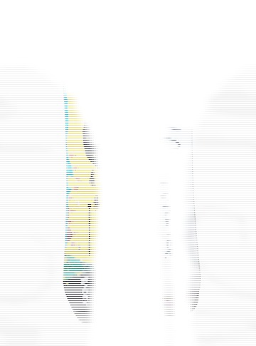 Burton Gril Master Camber