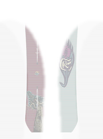 Burton Retro 1995 Kelly Air Camber