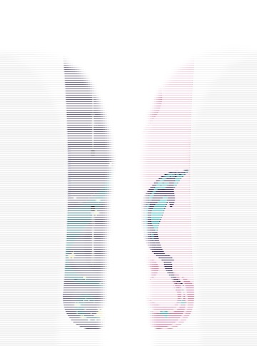 Burton Retro 1996 Dolphin Camber
