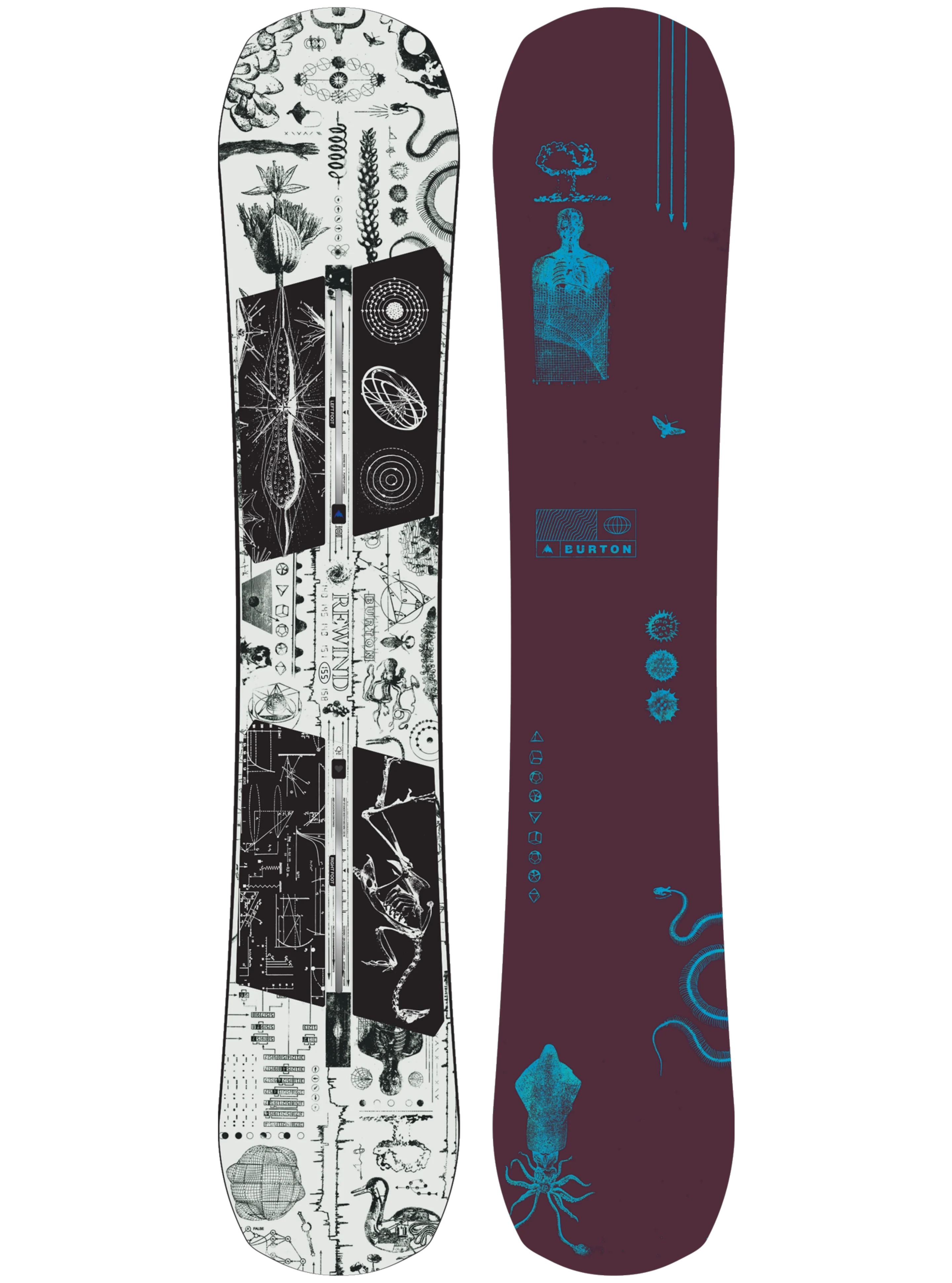 Burton Rewind Camber