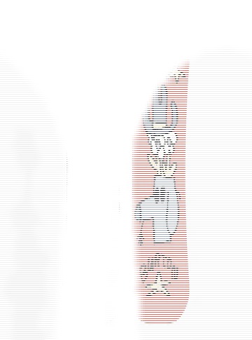 Burton Slush Puppy Camber