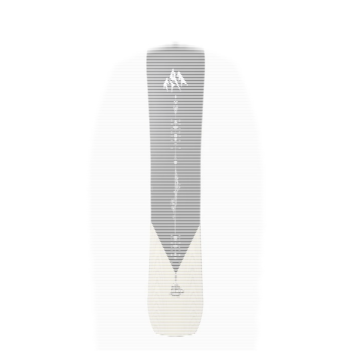 Jones Flagship Pro