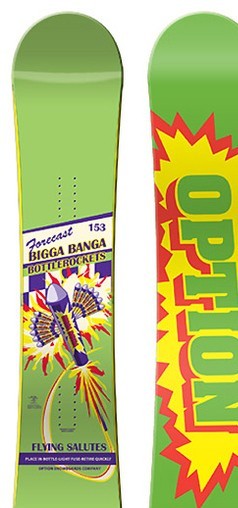 Option Forecast 2008-2009