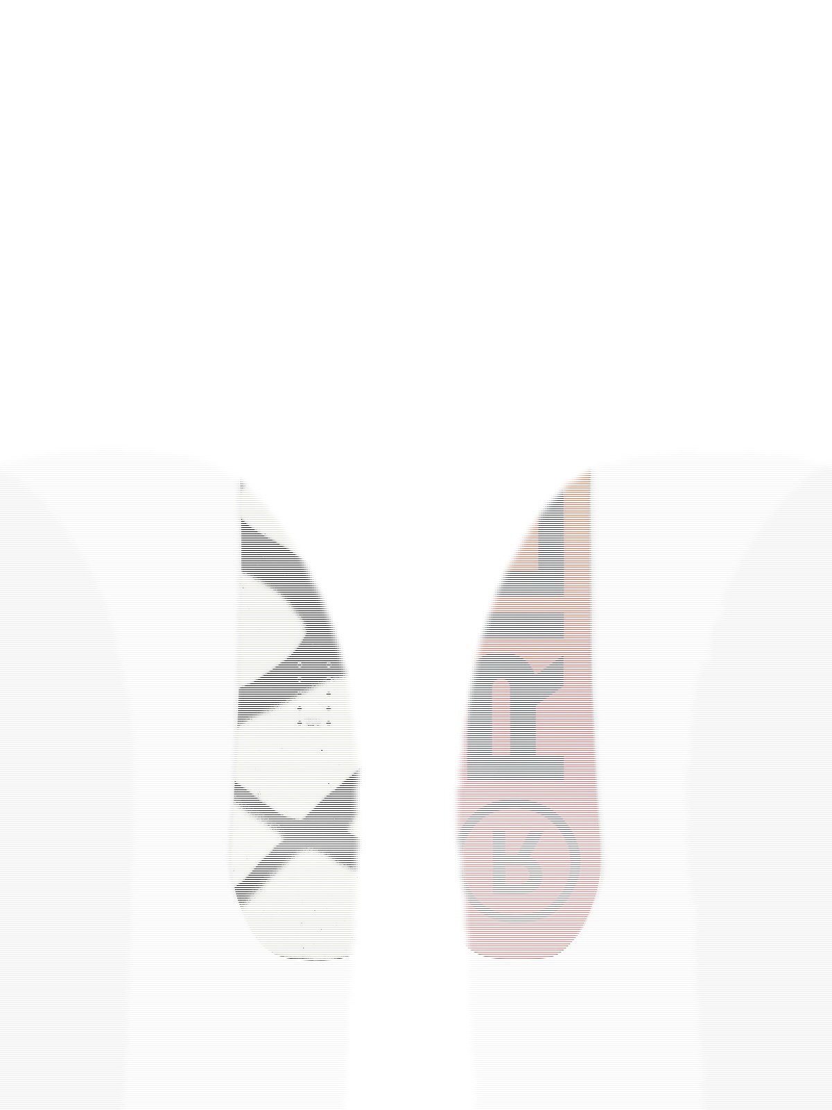 Ride Lowride Snowboard 2027