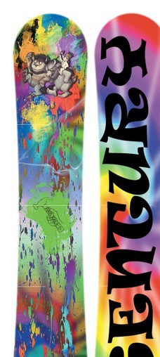 Sentury Enlighten Split