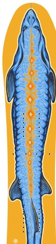 Venture Euphoria Splitboard